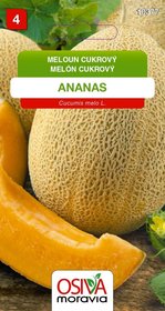 Meloun cukr. ANANAS_0,5 g