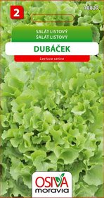 Salát listový trhací DUBÁČEK_0,5g
