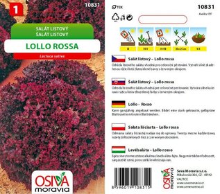 Salát listový LOLLO ROSSA červ. okraj_0,5 g