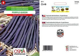 Fazol ke. fial.lusk PURPLE QUEEN_20 g