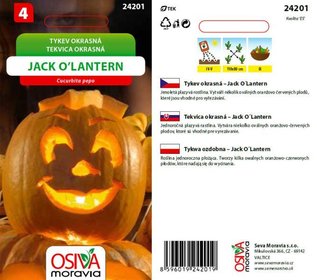 Okrasn tykviky Jack OLantern_10 s