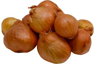 Cibule alotka - Red Sun 7/14, 5 kg