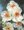 Narcis Multiflowered Geranium 5 ks, 12/14