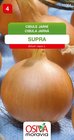 Cibule jarní žlutá - SUPRA_2 g