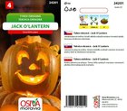 Okrasn tykviky Jack OLantern_10 s