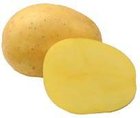 Sadba brambor Belana 5 kg, R