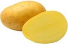 Sadba brambor Antonia 5 kg, PR, A