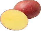 Sadba brambor Red Sonia 5 kg, VR, B